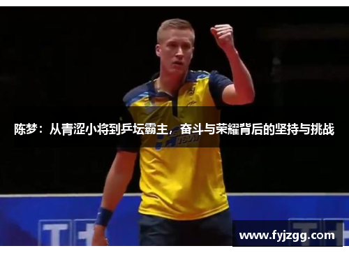 陈梦：从青涩小将到乒坛霸主，奋斗与荣耀背后的坚持与挑战