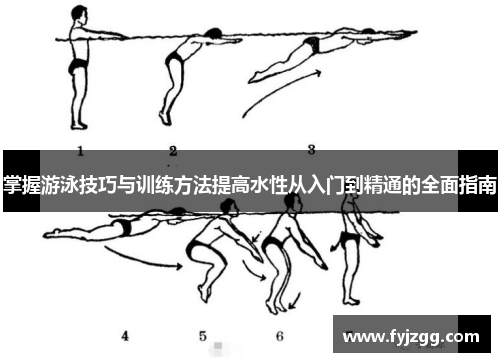 掌握游泳技巧与训练方法提高水性从入门到精通的全面指南
