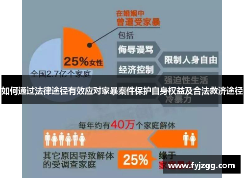 如何通过法律途径有效应对家暴案件保护自身权益及合法救济途径