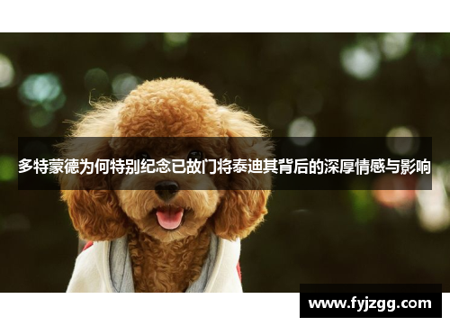 多特蒙德为何特别纪念已故门将泰迪其背后的深厚情感与影响
