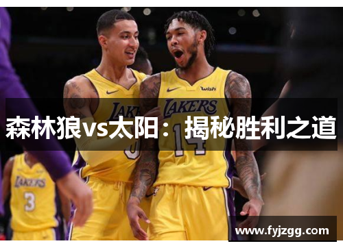 森林狼vs太阳：揭秘胜利之道